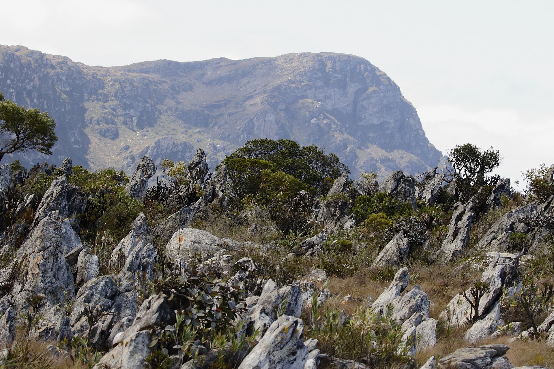 Foto real dos campos rupestres da Serra do Cipó, com vegetação de altitude e formações rochosas